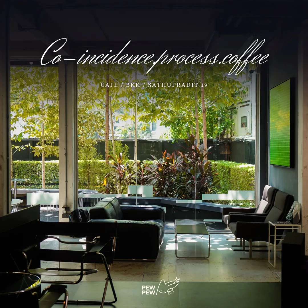 บรรยากาศในร้าน Co-incidence process coffee สาขาสาธุประดิษฐ์ โซฟาหนังสีดำหันออกสวนหลังกระจก