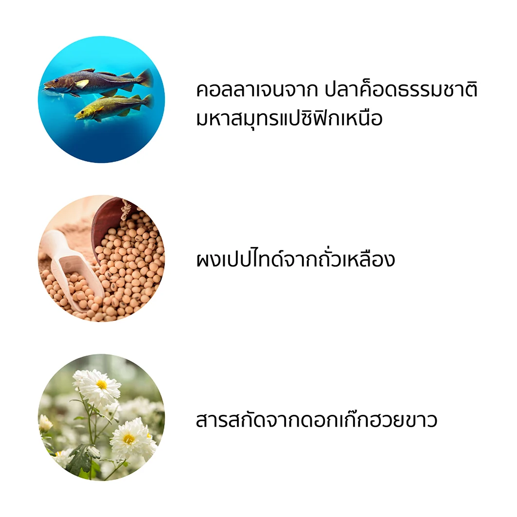ส่วนผสมนิวทริไลท์ คอลลาเจน คอลลาเจนจากปลาค็อด ผงเปปไทด์จากถั่วเหลือง และสารสกัดจากดอกเก๊กฮวยขาว