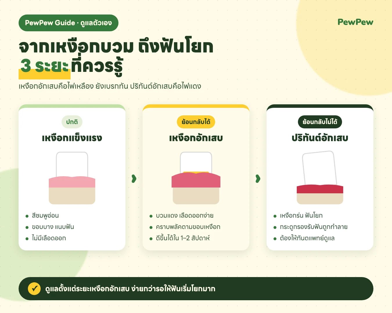 ระยะของโรคเหงือก จากเหงือกปกติ สู่เหงือกอักเสบ และปริทันต์อักเสบ