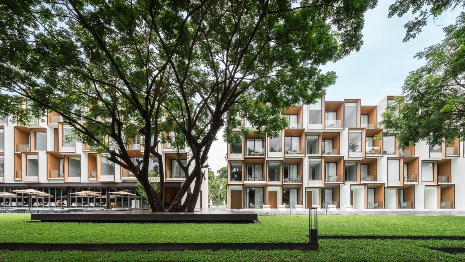 อาคารโรงแรม Riva Vista Riverfront Resort เชียงราย ผนังสีขาวสลับกรอบไม้ ใต้ร่มไม้ใหญ่และสนามหญ้าริมแม่น้ำกก