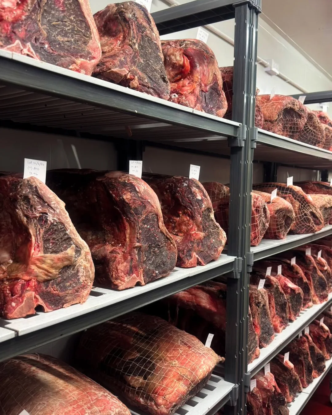 ห้องบ่มเนื้อดรายเอจของ Wolfgang's Steakhouse เนื้อชิ้นใหญ่เรียงบนชั้นสแตนเลส